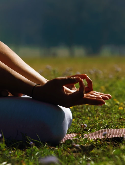 500 Hour Traditional Yoga Teacher Training Course in Himalaya India