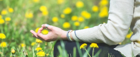 #1 Best 100-Hour Yoga & Ayuvreda Teacher Training Course In Himalaya Almora- Shortest Ayurveda Yoga Course India- RYT 100