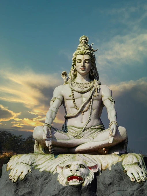 Best Yoga Teacher Training Courses in India