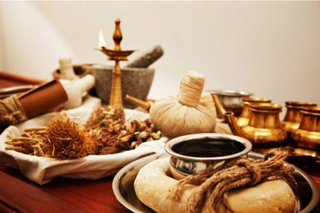 30 Hour Online Ayurveda Course Classes From A expert
